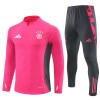 Tyskland Color Trenings Collegegenser 2024-25 Kvart-Zip Rosa - Herre